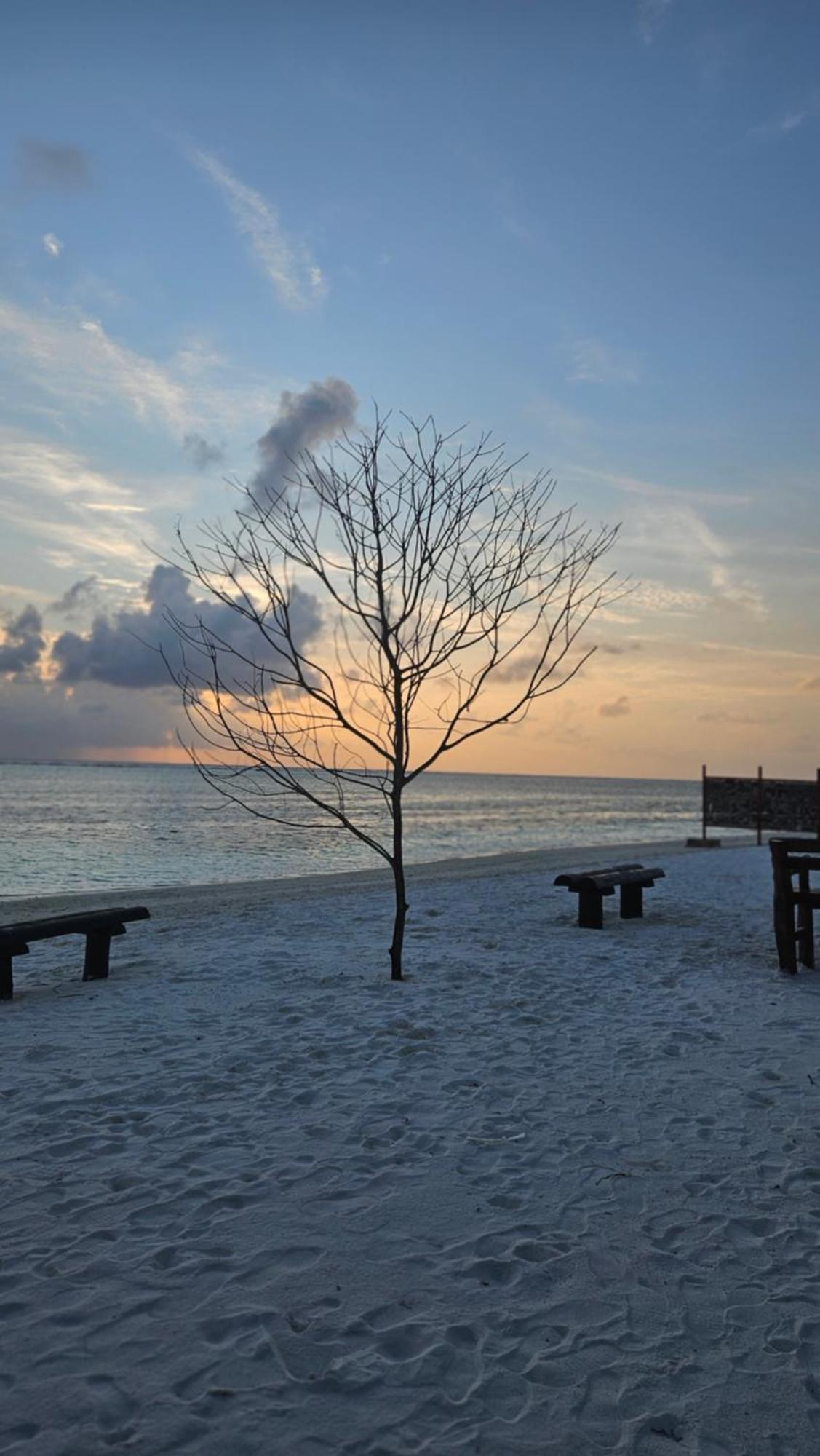 Hotel Palmrest Kaashidhoo Maldives Esterno foto